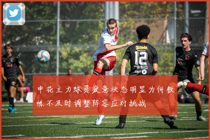 申花主力球员疲惫状态明显为何教练不及时调整阵容应对挑战