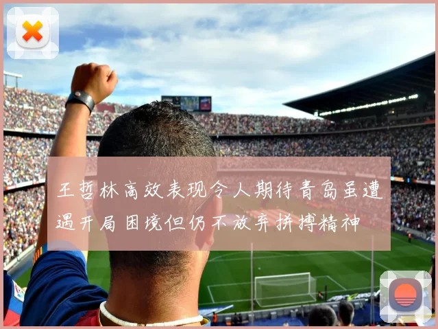王哲林高效表现令人期待青岛虽遭遇开局困境但仍不放弃拼搏精神